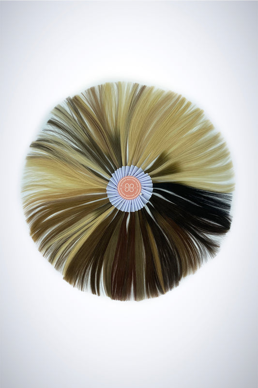 BBHair Professional Color Swatch Ring