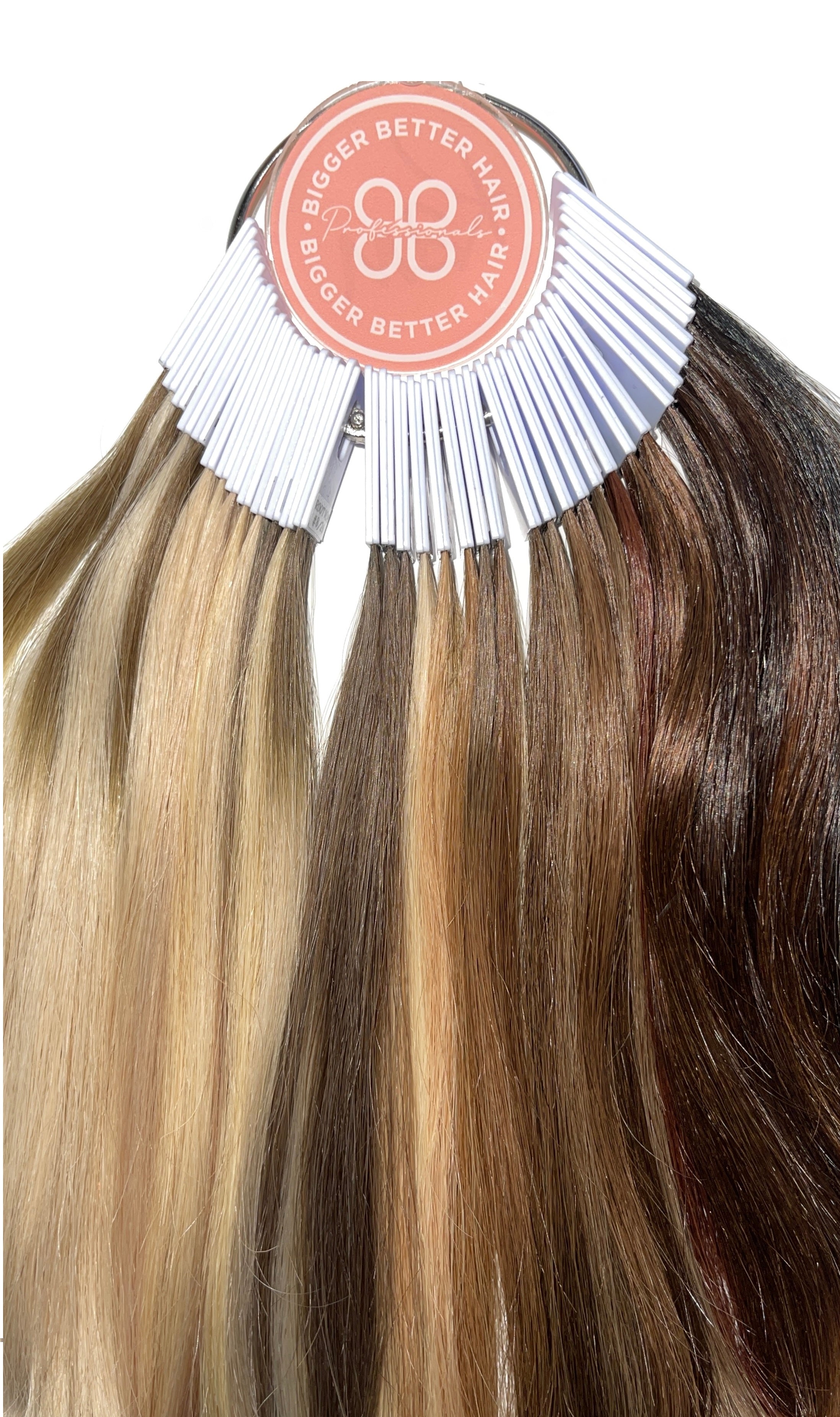 BBHair Professional Color Swatch Ring